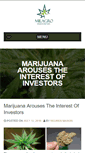 Mobile Screenshot of milagroexploration.com